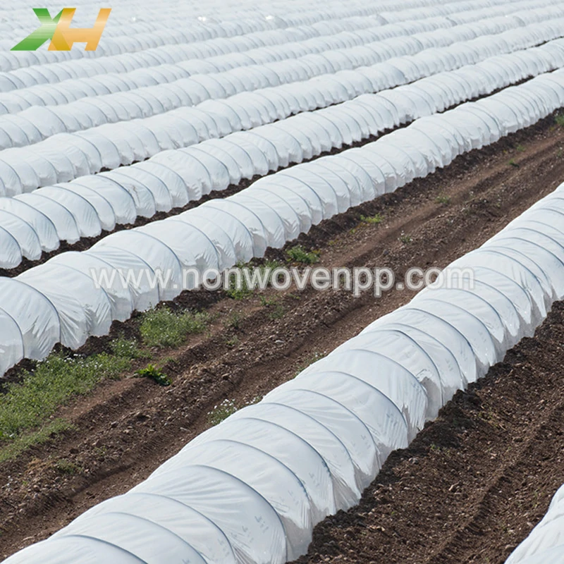 polypropylene Spunbond Non Woven